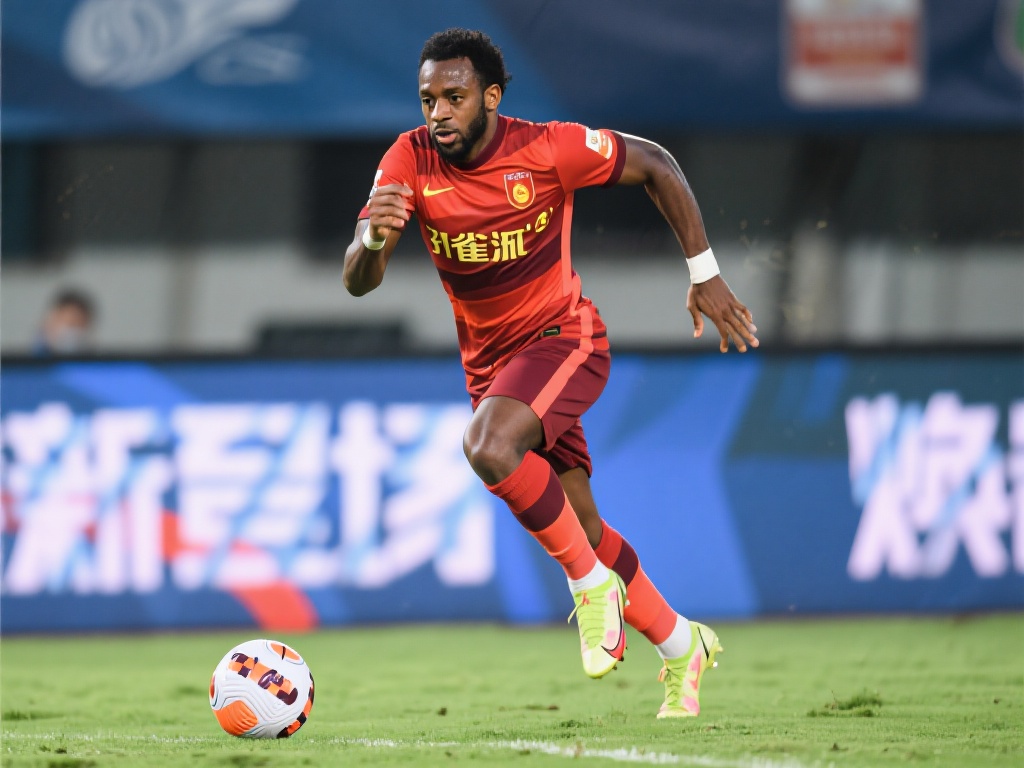 到的法律风 到的法律风